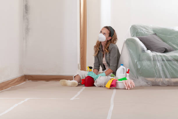 Reliable Mold Testing contractor in Bunnlevel, NC by WQB Mold Removal